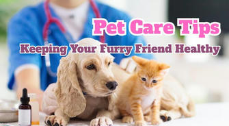 Pet Care Tips for Older Adults and Women: Keeping Your Furry Friend Healthy