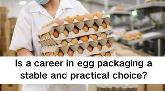 Exploring a Career in Egg Packaging: A Stable and Practical Job