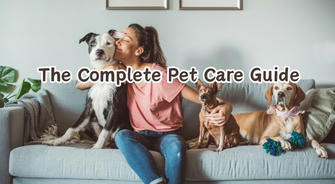 The Authoritative Guide to Comprehensive Pet Care: Nurturing a Healthy Companion